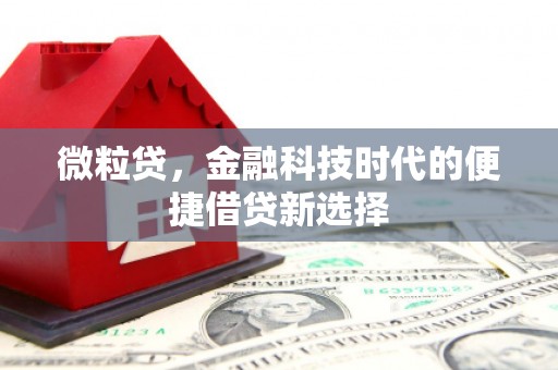 济宁微粒贷，金融科技时代的便捷借贷新选择