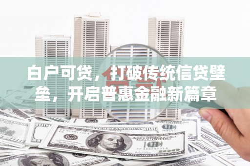 大名白户可贷，打破传统信贷壁垒，开启普惠金融新篇章