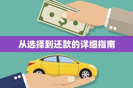 多伦从选择到还款的详细指南
