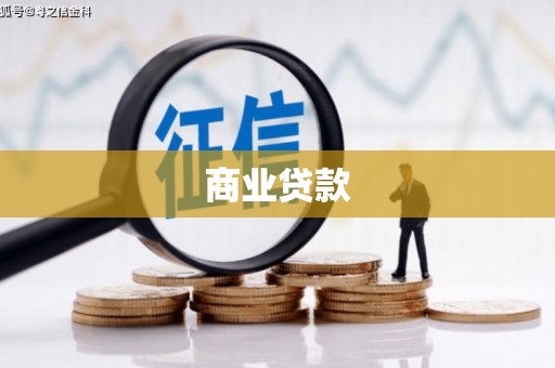 洛扎商业贷款