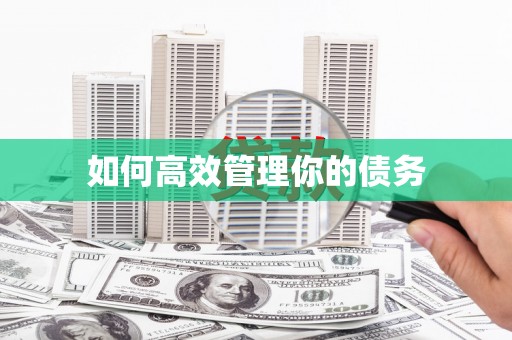 新泰如何高效管理你的债务