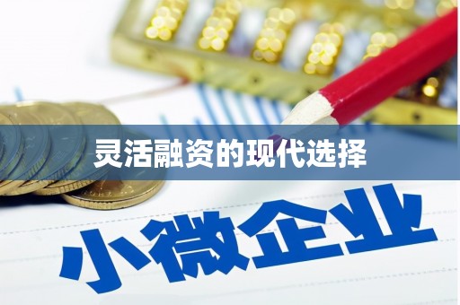 宁晋灵活融资的现代选择