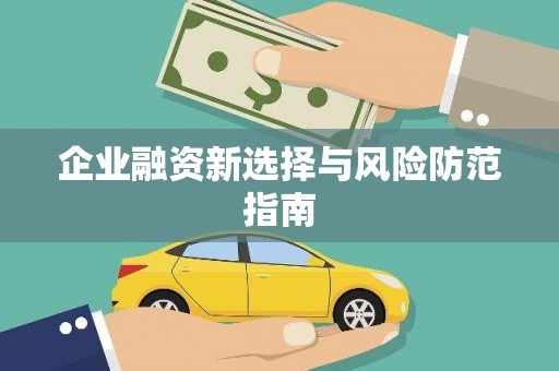 奎文企业融资新选择与风险防范指南