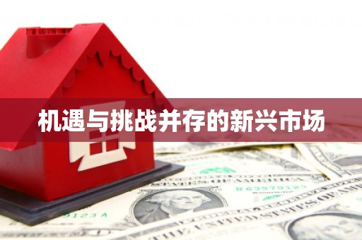 长洲机遇与挑战并存的新兴市场