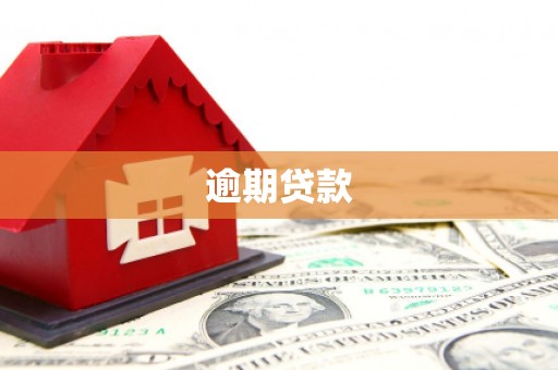 光复逾期贷款