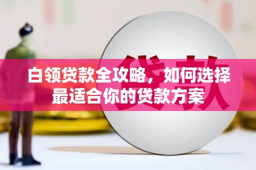 雷州白领贷款全攻略，如何选择最适合你的贷款方案