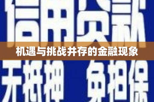 石排机遇与挑战并存的金融现象