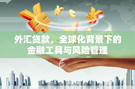嘉黎外汇贷款，全球化背景下的金融工具与风险管理